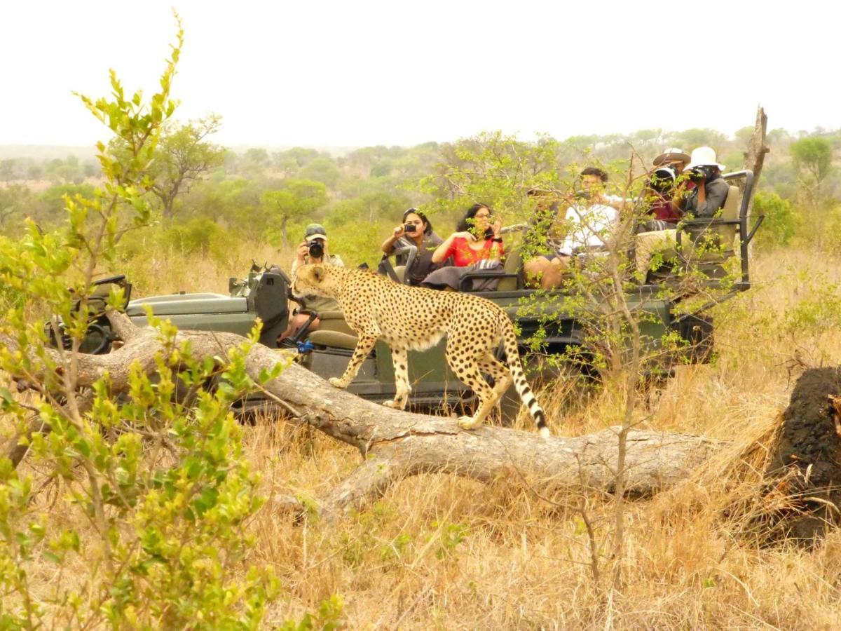 Umkumbe Safari Lodge Riverside Skukuza Kültér fotó