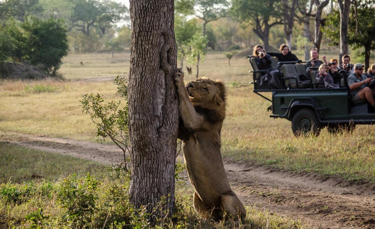 Umkumbe Safari Lodge Riverside Skukuza Kültér fotó